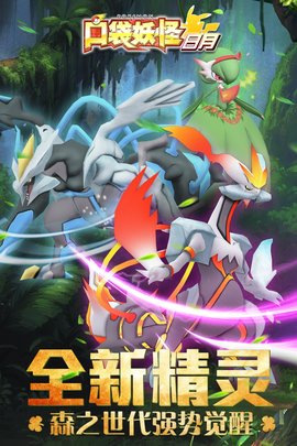 口袋妖怪日月最新版下载5 口袋妖怪日月最新版下载5