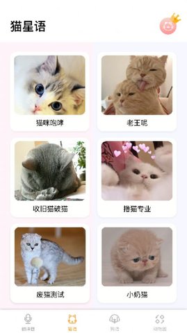 猫语翻译大师安卓版下载