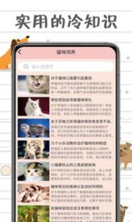 小猫交流器app安卓版下载1 小猫交流器app安卓版下载1