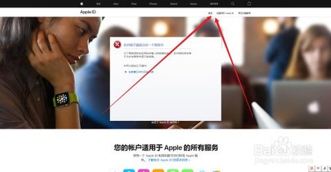 ie浏览器官方正式版下载安装