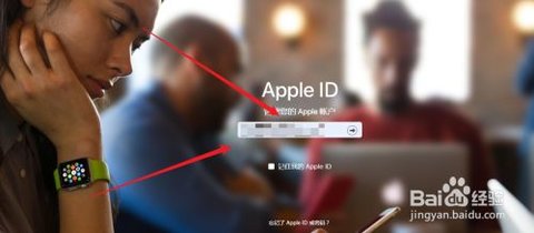 ie浏览器官方正式版下载安装