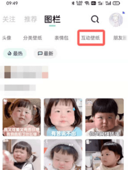 遥望壁纸app官方下载