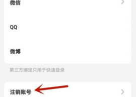 遥望壁纸app官方下载