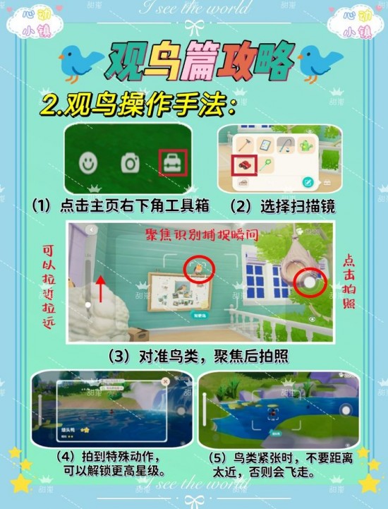 心动小镇观鸟爱好者找谁？心动小镇观鸟爱好攻略