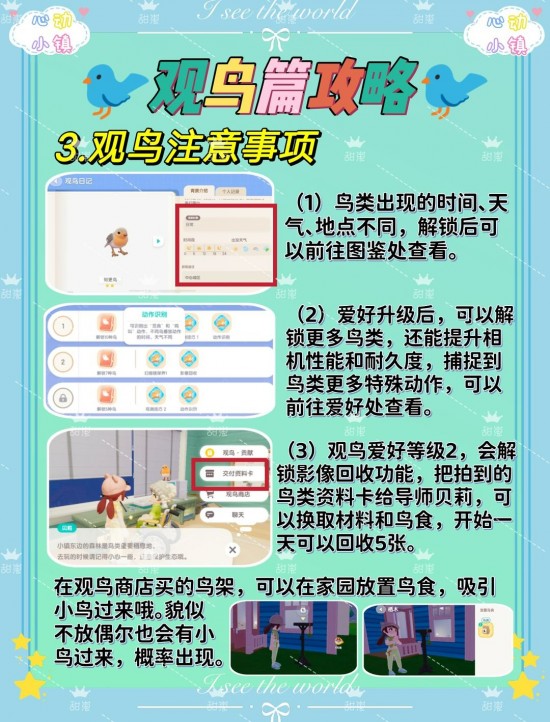 心动小镇观鸟爱好者找谁？心动小镇观鸟爱好攻略