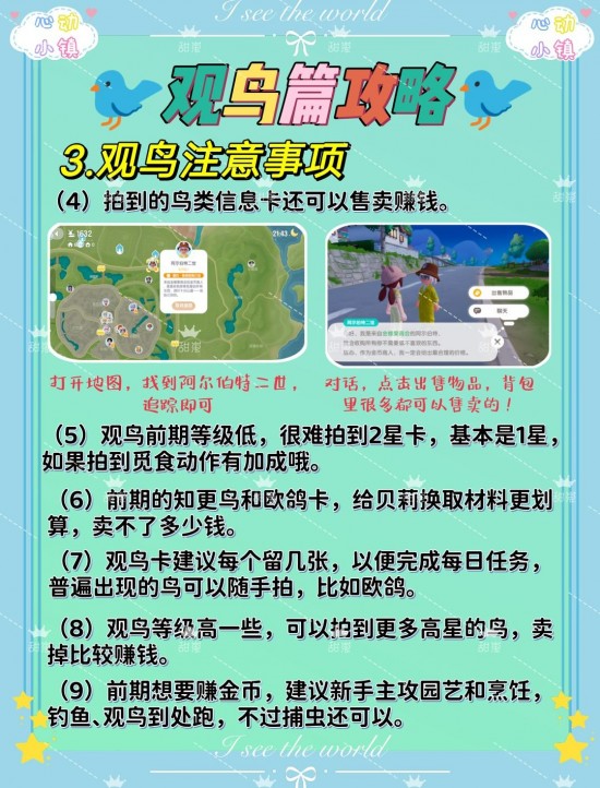 心动小镇观鸟爱好者找谁？心动小镇观鸟爱好攻略
