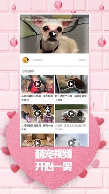 追追韩剧下载