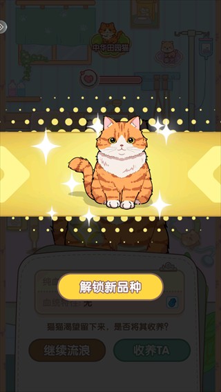 糖果猫安卓版
