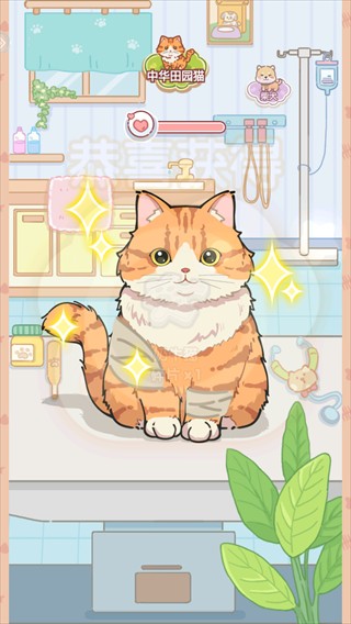 糖果猫安卓版