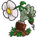 植物大战僵尸重植版官方最新版