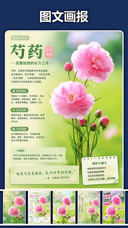修复P图王app最新版正版5 修复P图王app最新版正版5