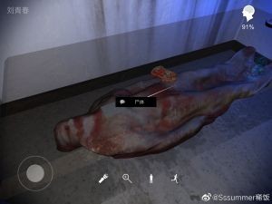 孙美琪疑案朗威手机版