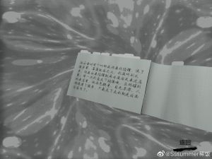 孙美琪疑案朗威手机版