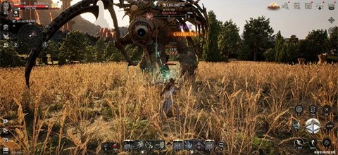 宙斯傲慢之神游戏中文版