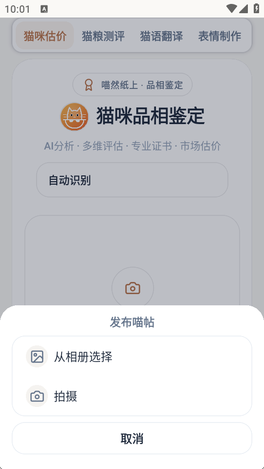 喵然纸上app手机版最新1 喵然纸上app手机版最新1