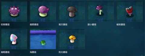 植物大战僵尸全明星最新版