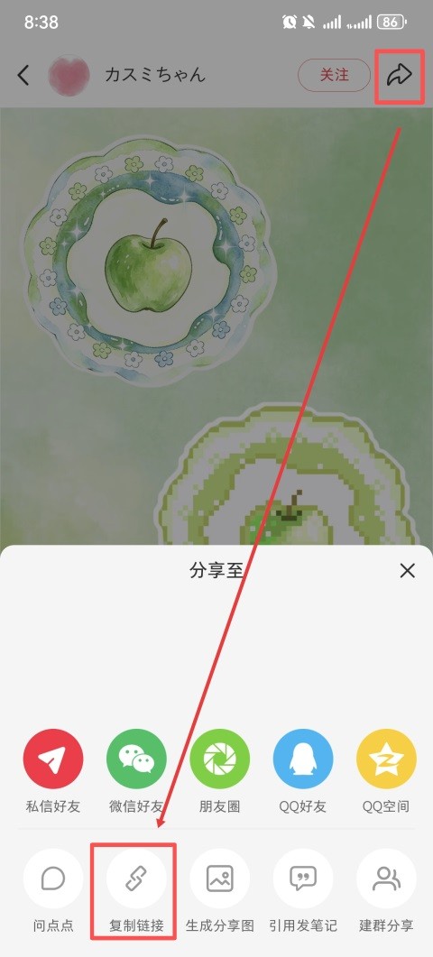 豆猫软件安卓版