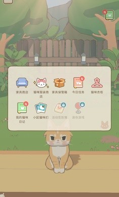窗外猫安卓最新版2 窗外猫安卓最新版2