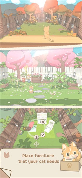 窗外猫安卓最新版