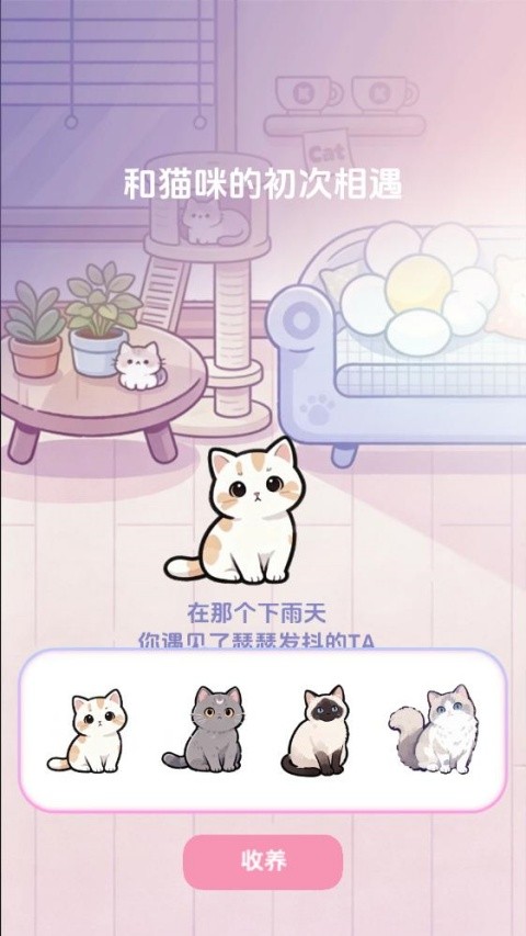 橘子小屋游戏免费