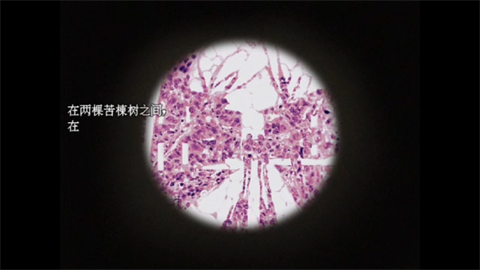 愚人船游戏汉化版2 愚人船游戏汉化版2