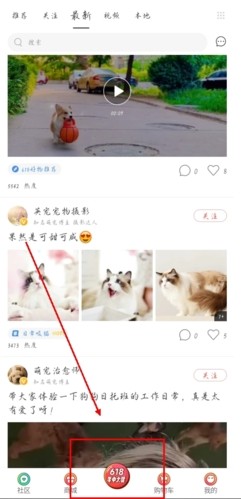 波奇宠物安卓版手机