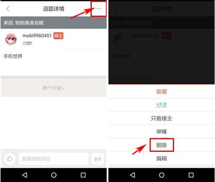波奇宠物安卓版手机