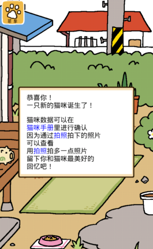 猫咪后院2汉化版最新