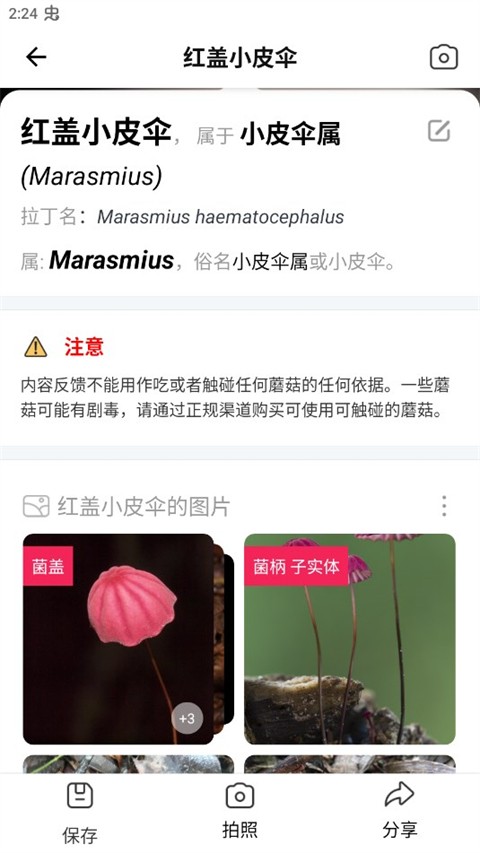 蘑菇识别扫一扫官方正版