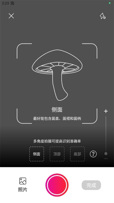 蘑菇识别扫一扫官方正版