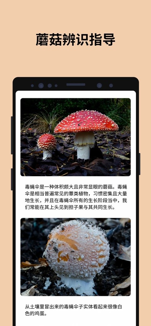 蘑菇识别扫一扫官方正版1 蘑菇识别扫一扫官方正版1