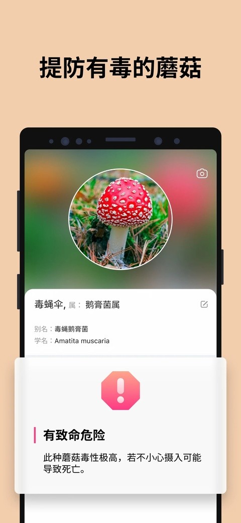 蘑菇识别扫一扫官方正版3 蘑菇识别扫一扫官方正版3
