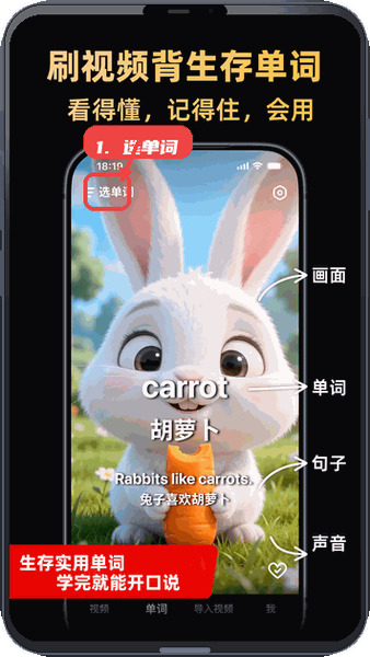 阿美英语免费版