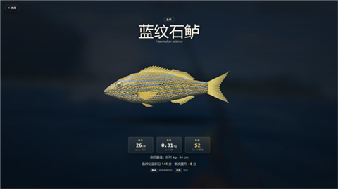 潮汐岛钓鱼手机版