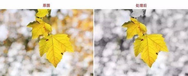 指划修图最新版