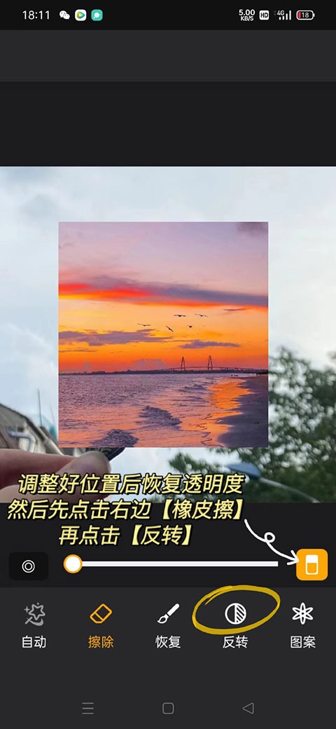 大神P图2026最新版