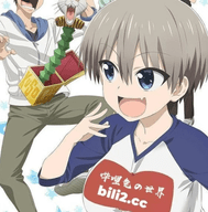 哔哩兔bilibili下载手机版