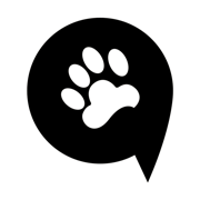 熊大叫车安卓版下载