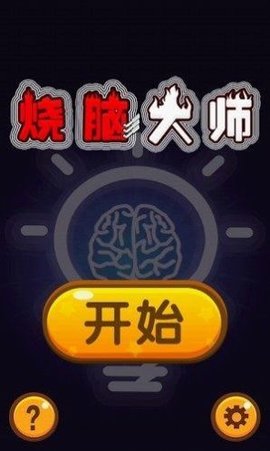 烧脑大师游戏下载2