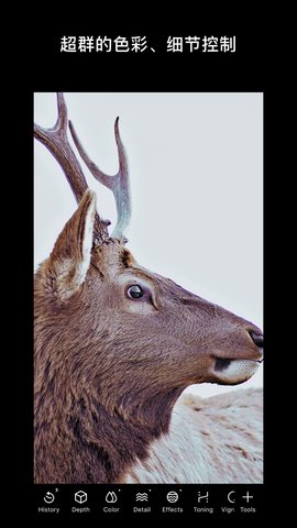 泼辣修图app下载免费版安卓