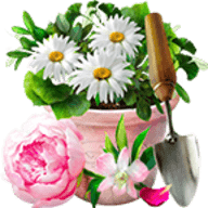 佛罗里达虚拟花园最新版游戏下载安装 v1.2.105