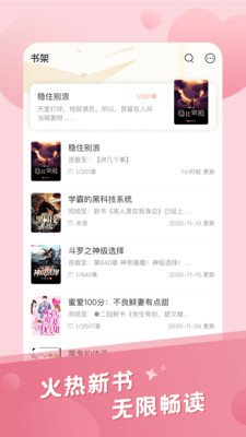 米趣免费小说阅读器下载4