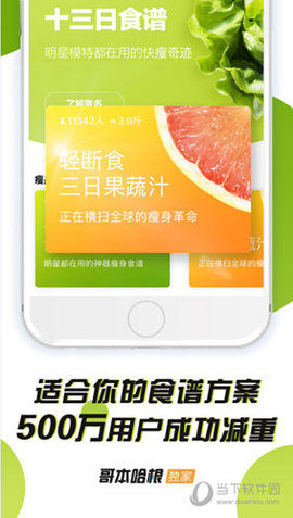 哥本哈根减肥app下载2