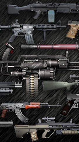 真实武器模拟器武器全解锁2025游戏下载2