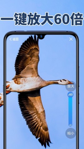 老人放大镜极速版下载3