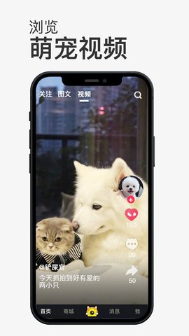 小宠书app免费版下载1