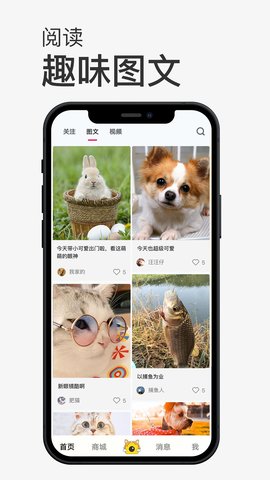 小宠书app免费版下载4