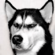 小狗仔app手机版下载 v1.0