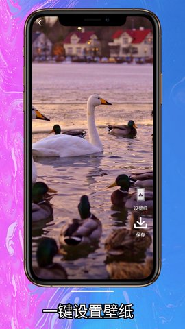 简单壁纸app下载安卓版3