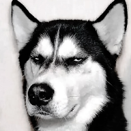 小狗仔相机app安卓版免费下载